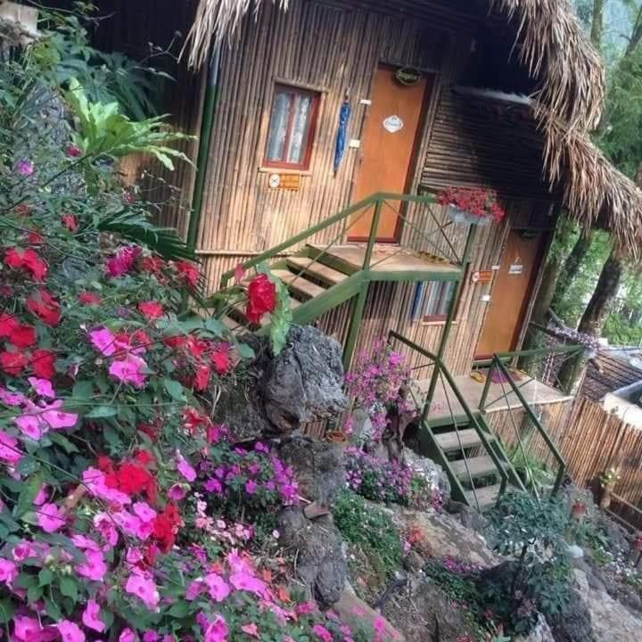 Green Hill Hostel & Tour Ha Giang Exterior photo